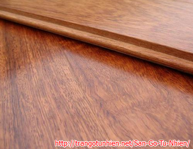 Đặc điểm của sàn gỗ giáng hương mà bạn nên biết